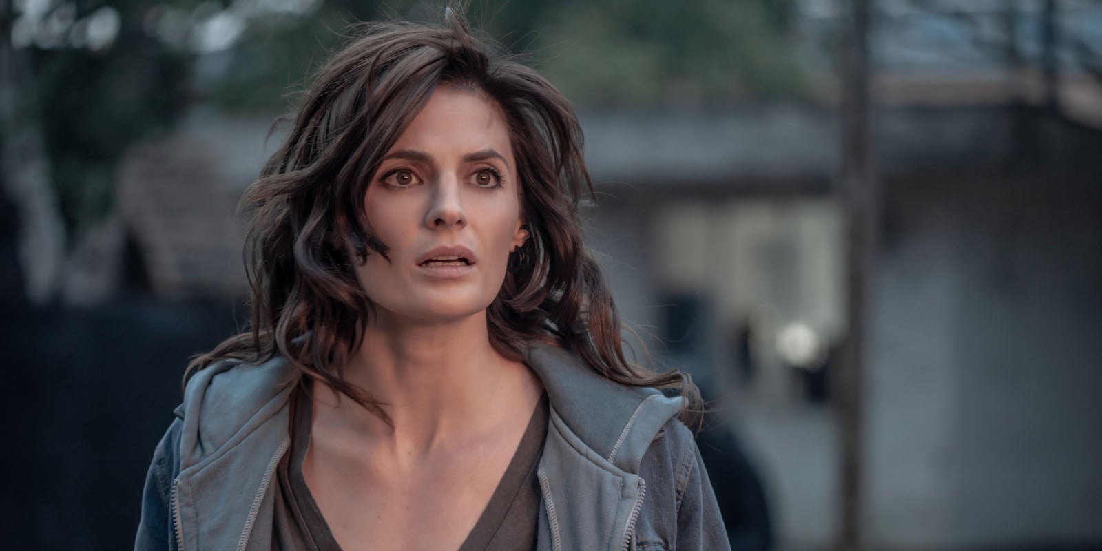Stana Katic dans la saison 3 de Absentia sur Altice Studio