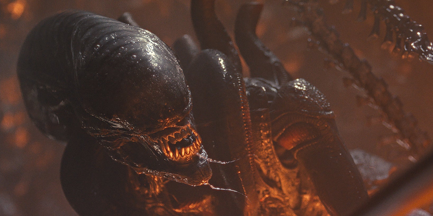 ''Alien : Earth'' arrive à point nommé après le succès d'''Alien : Romulus'' (image) dans les salles obscures.