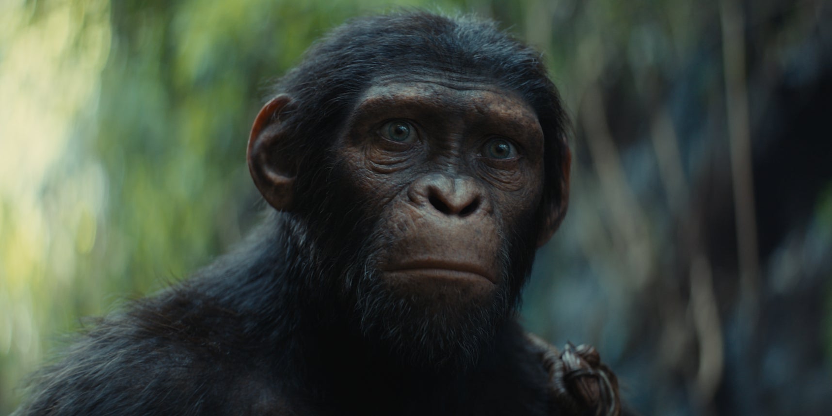 Retrouvez Le Nouveau Royaume, le dernier opus de la saga La Planète des Singes, mais également le film Furiosa et la comédie Le Deuxième Acte sur la VOD de SFR. 