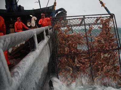 Péril en haute mer : la saison 17 arrive sur Discovery