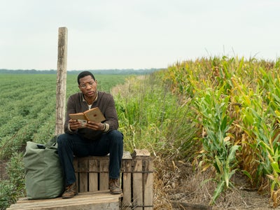 OCS : le programme en août 2020