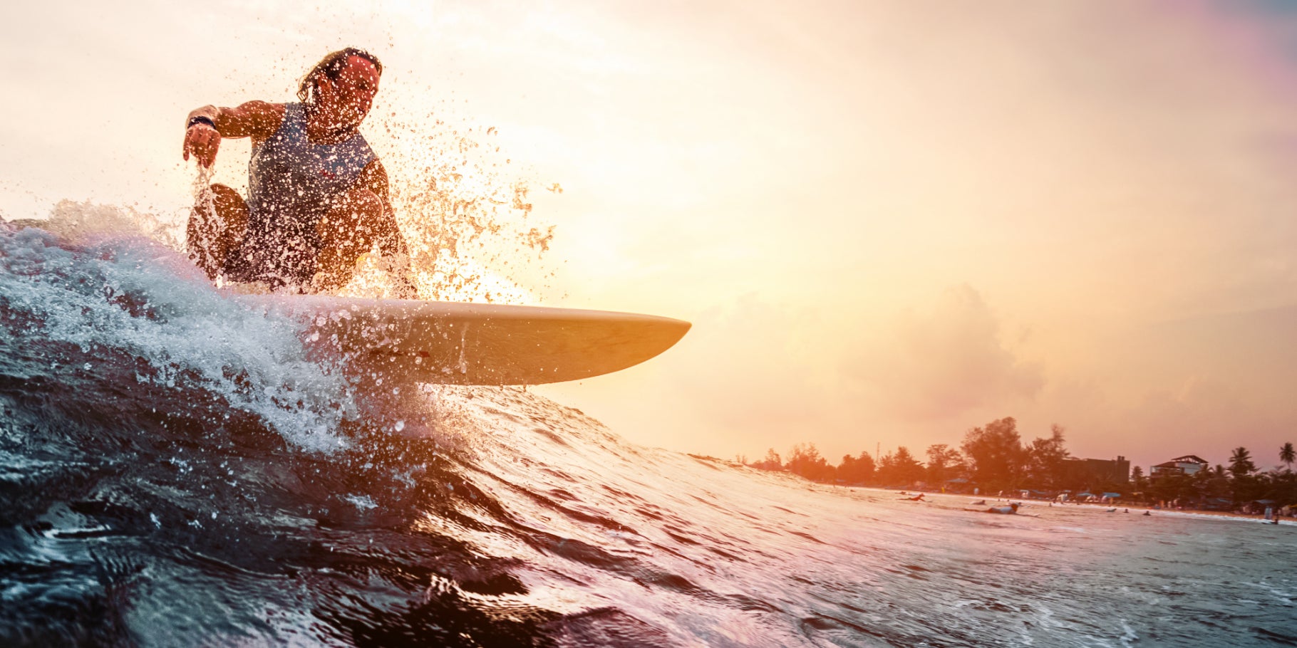 Un bon surfeur doit savoir surfer sans son chien... mais en maîtrisant tous les termes de la disicpline ! 