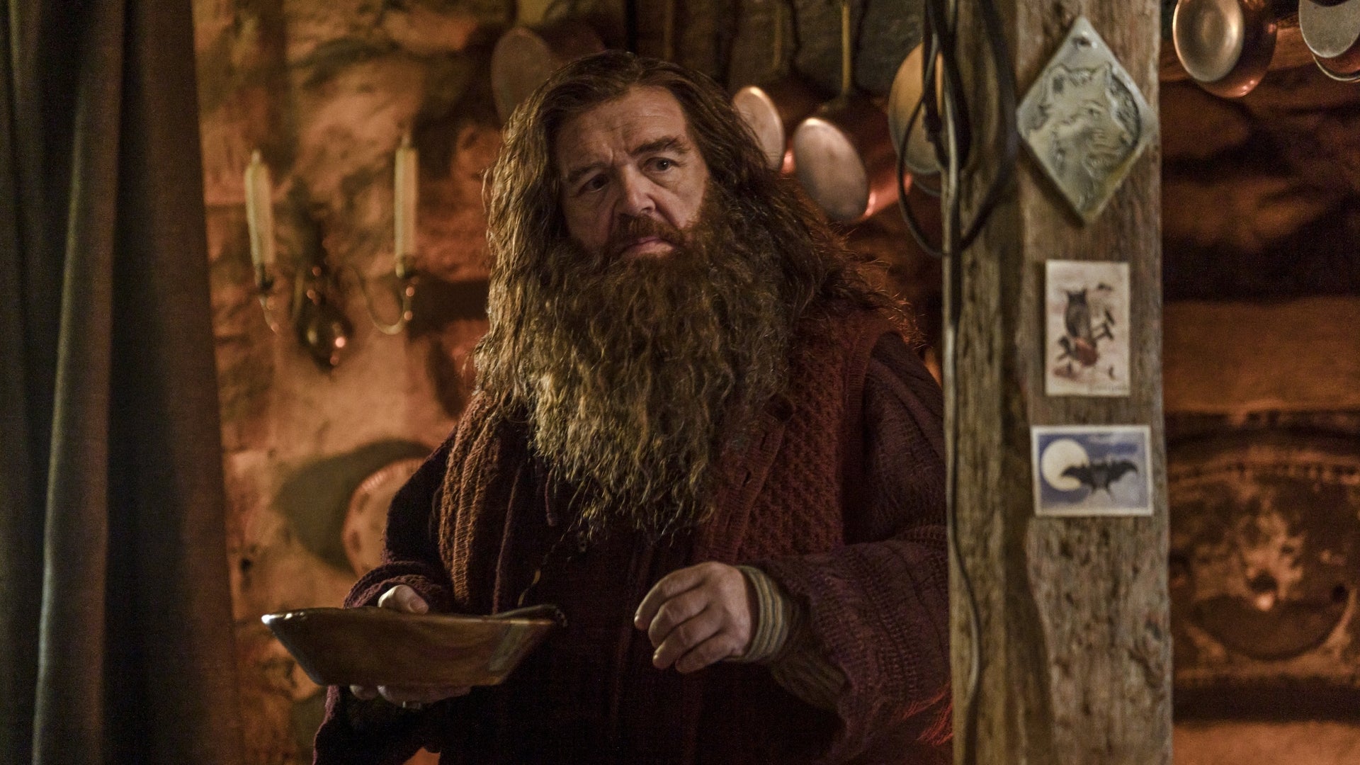 Nick Frost dans la peau de Rubeus Hagrid dans la série "Harry Potter".