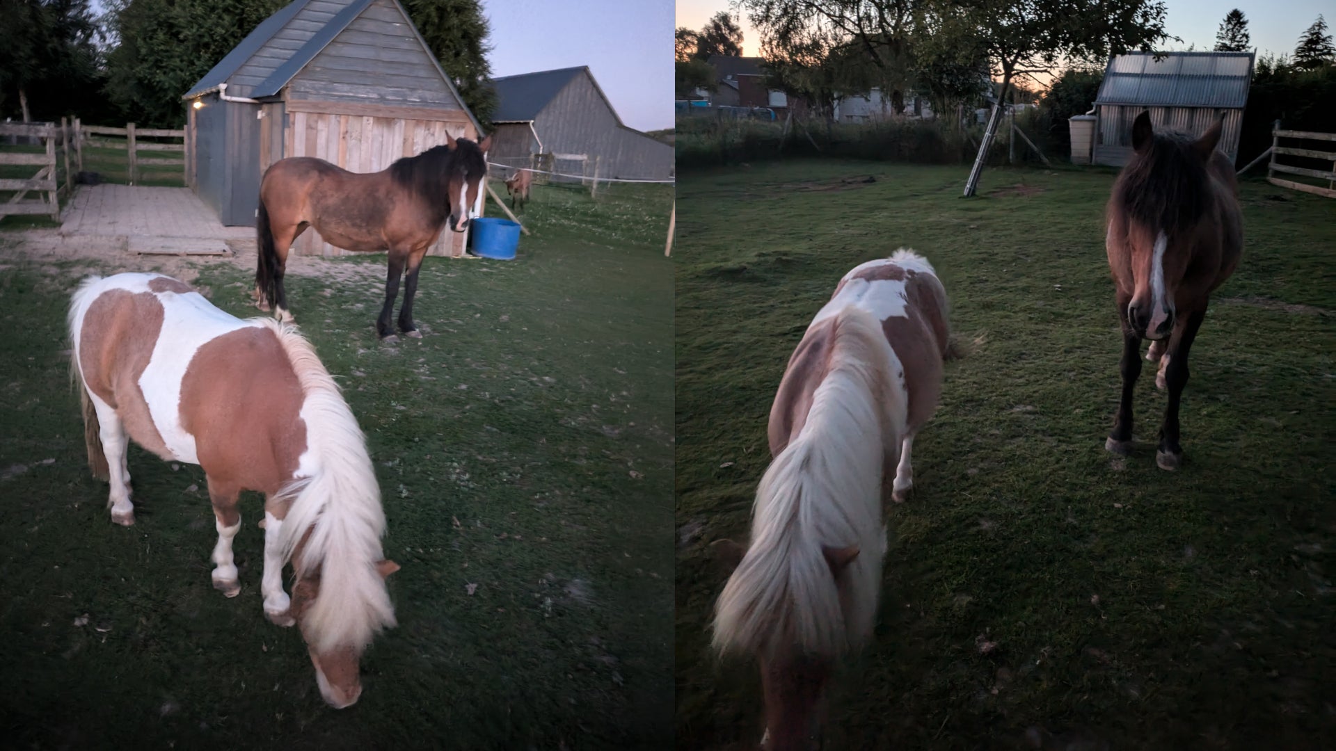 Le soleil couchant, on peut dégainer le mode "Vision de nuit" du Pixel 8a pour capturer quelques souvenirs, même si la faible luminosité reste compliquée à gérer.