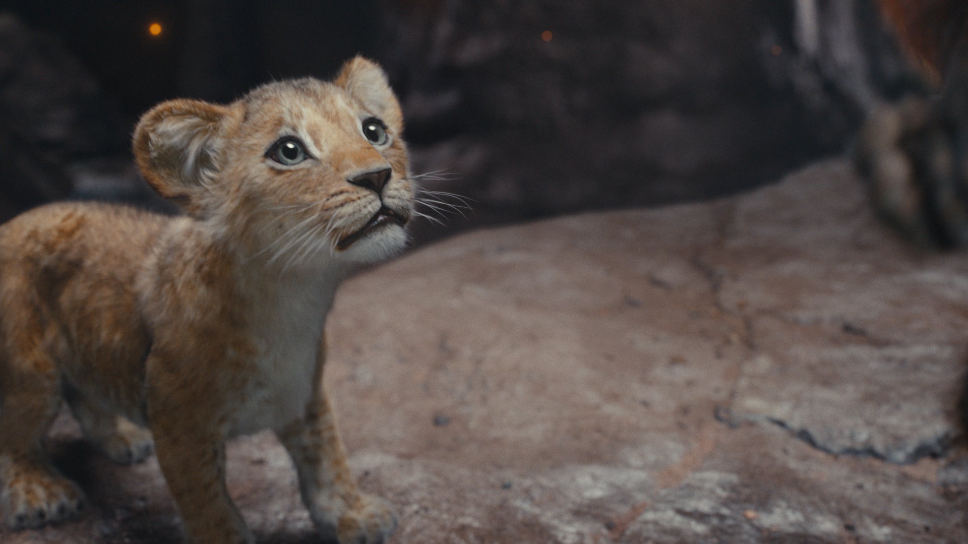 Le visage ultra expressif de Kiara dans Mufasa