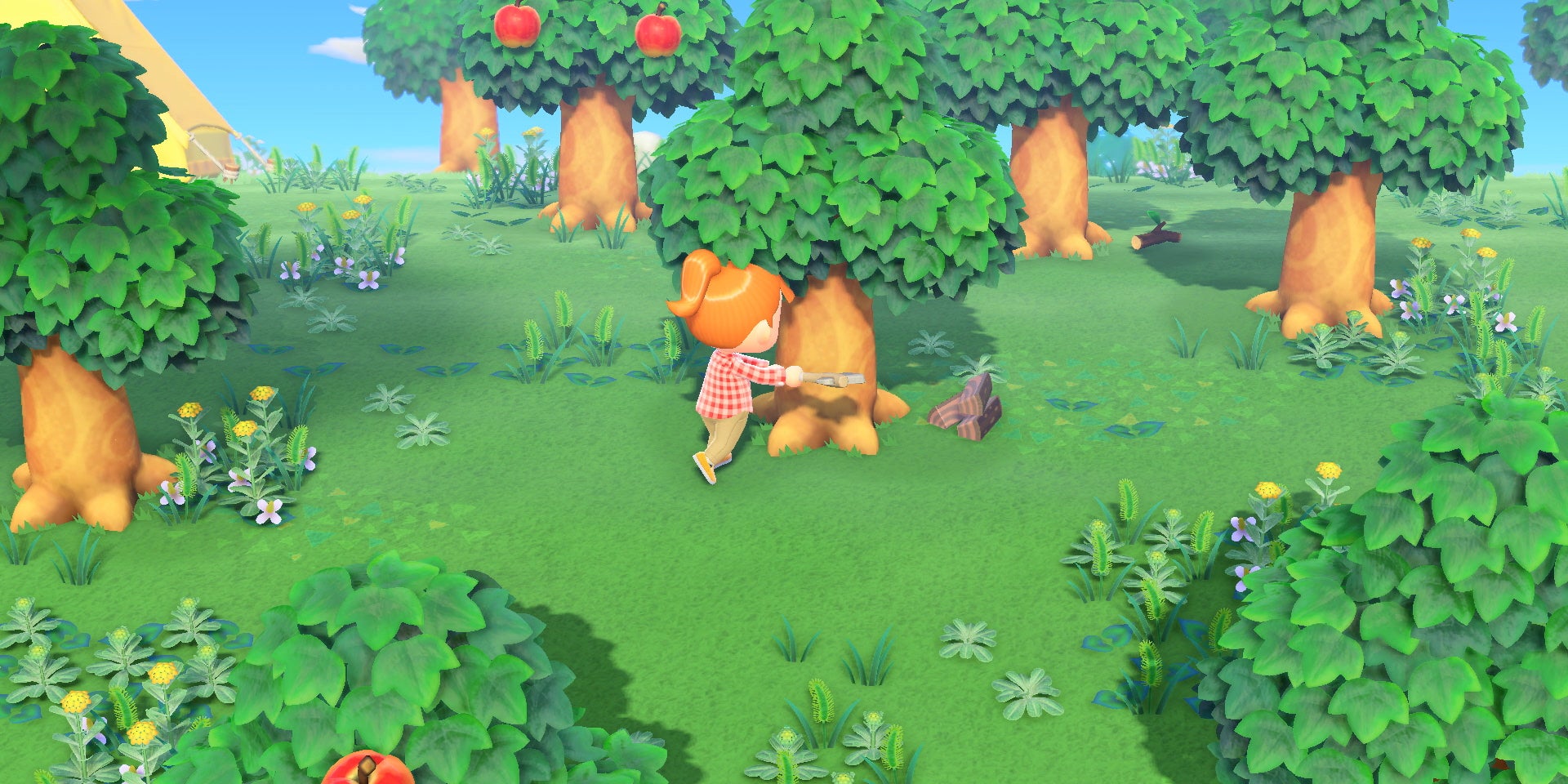 Ces 8 activités constituent la clé de la réussite dans Animal Crossing : New Horizons.
