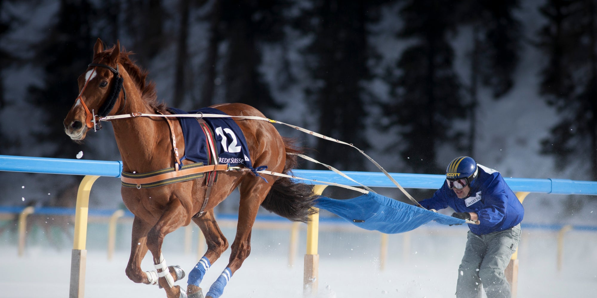 Un participant à une épreuve de ski joëring à St. Moritz en Suisse, le 3 février 2013. 