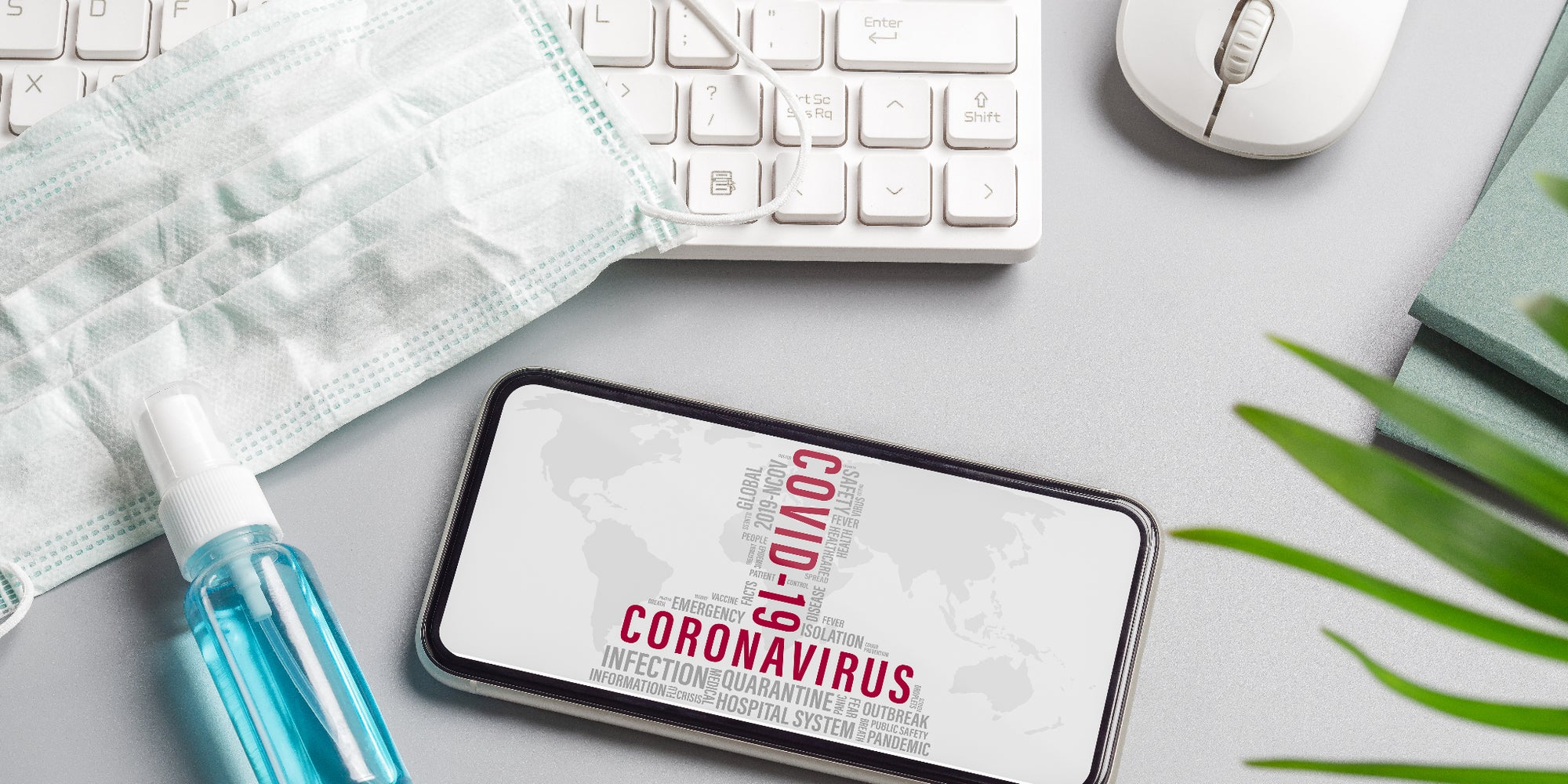Le coronavirus peut survivre jusqu'à 28 jours sur un écran de smartphone 