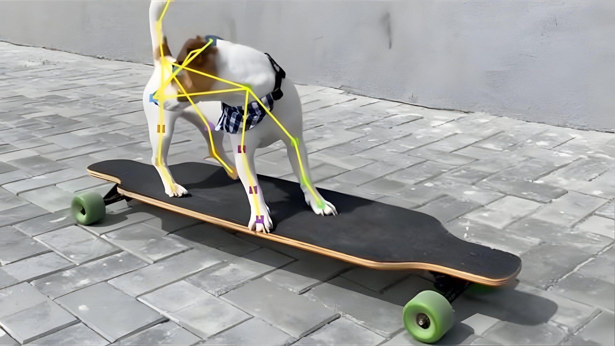 Animal Body Pose est capable d'analyser la position d'un chien.