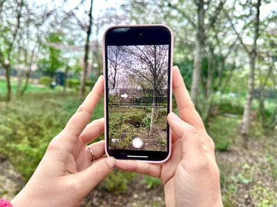 iPhone : 3 astuces du mode Panoramique pour des photos bluffantes
