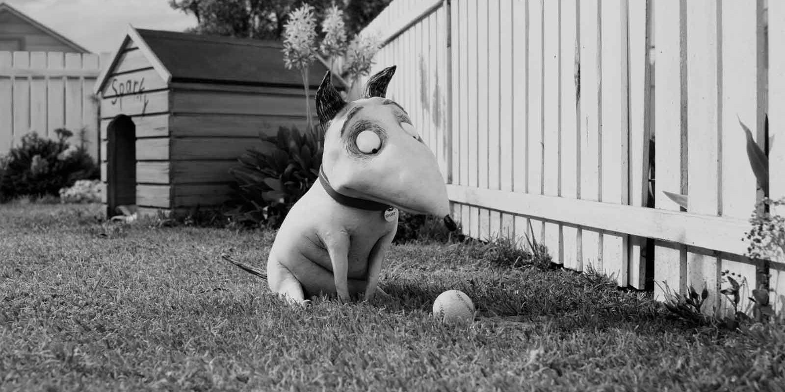 (Re)découvrez Tim Burton en famille avec notre sélection de films, dont "Frankenweenie".