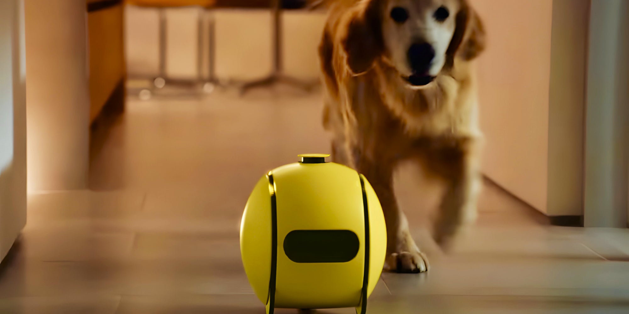 Découvrez ''Ballie'', l'assistant robot imaginé par Samsung.