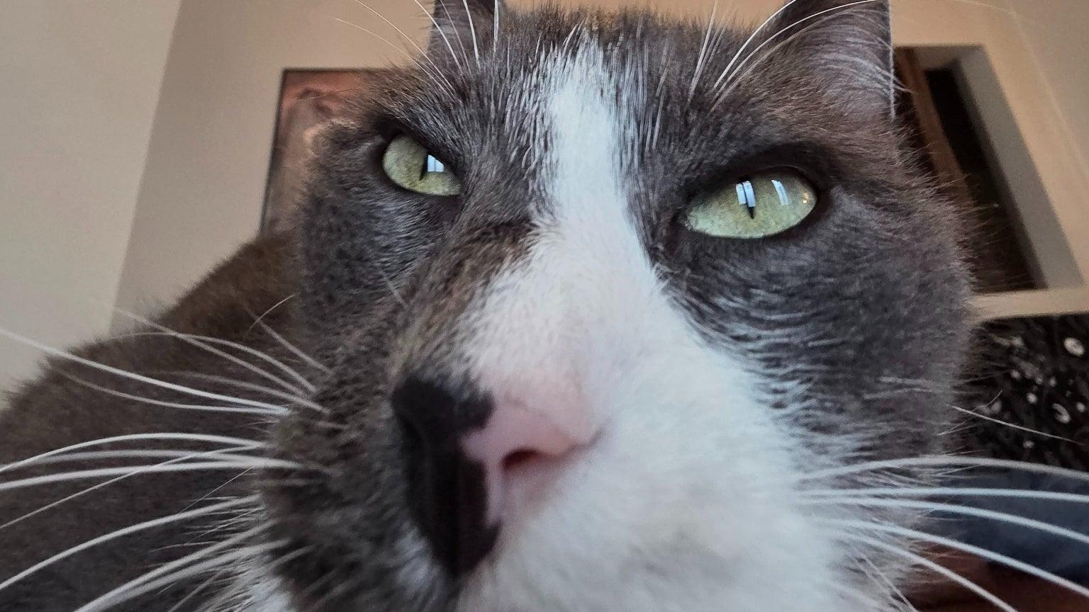 La caméra ultra grand-angle reste également de très bonne qualité que ce soit vos panorama ou autre...