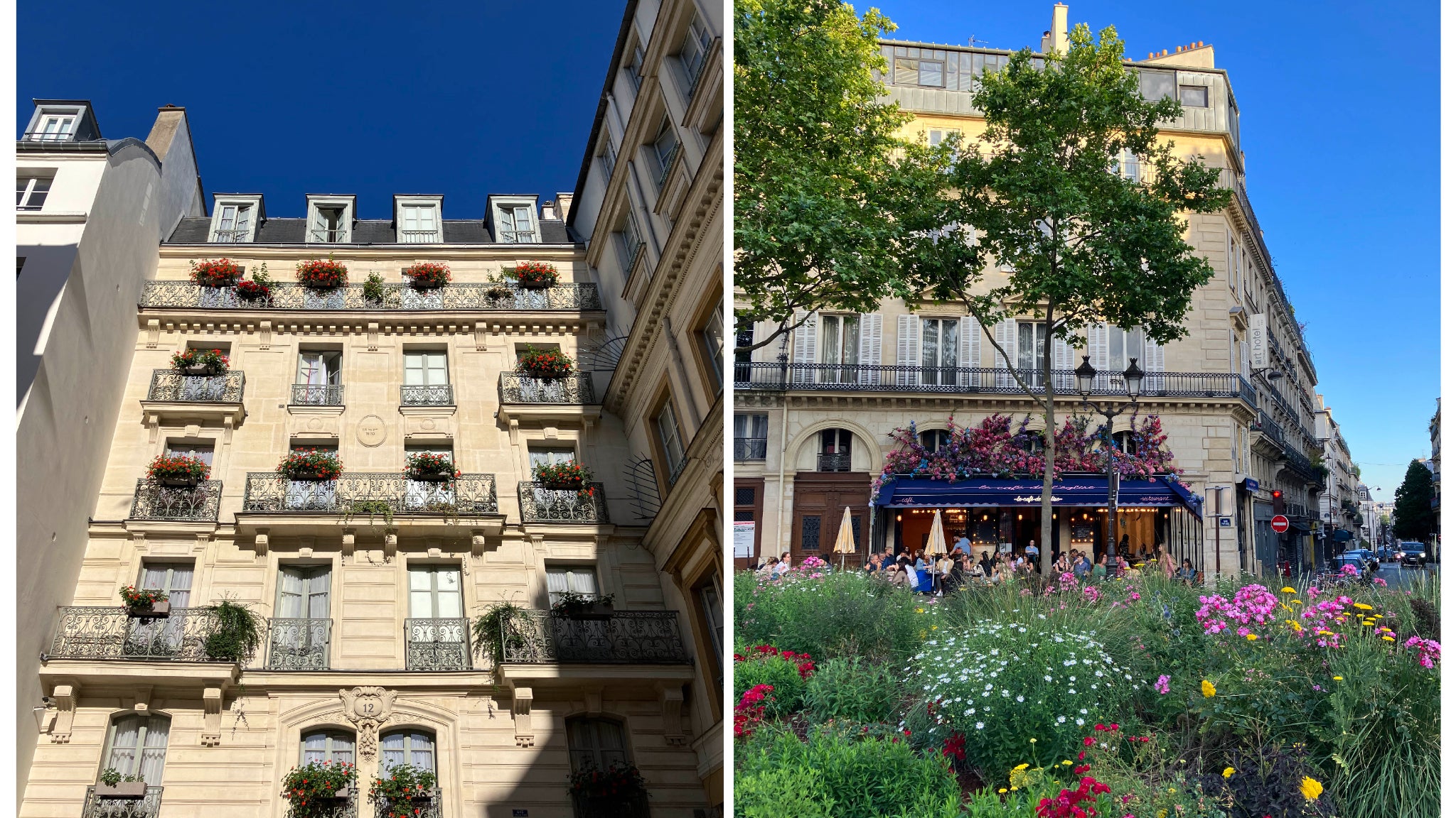 Dans de belles conditions de luminosité, l'iPhone SE 3 saisit toutes les couleurs et tous les détails.