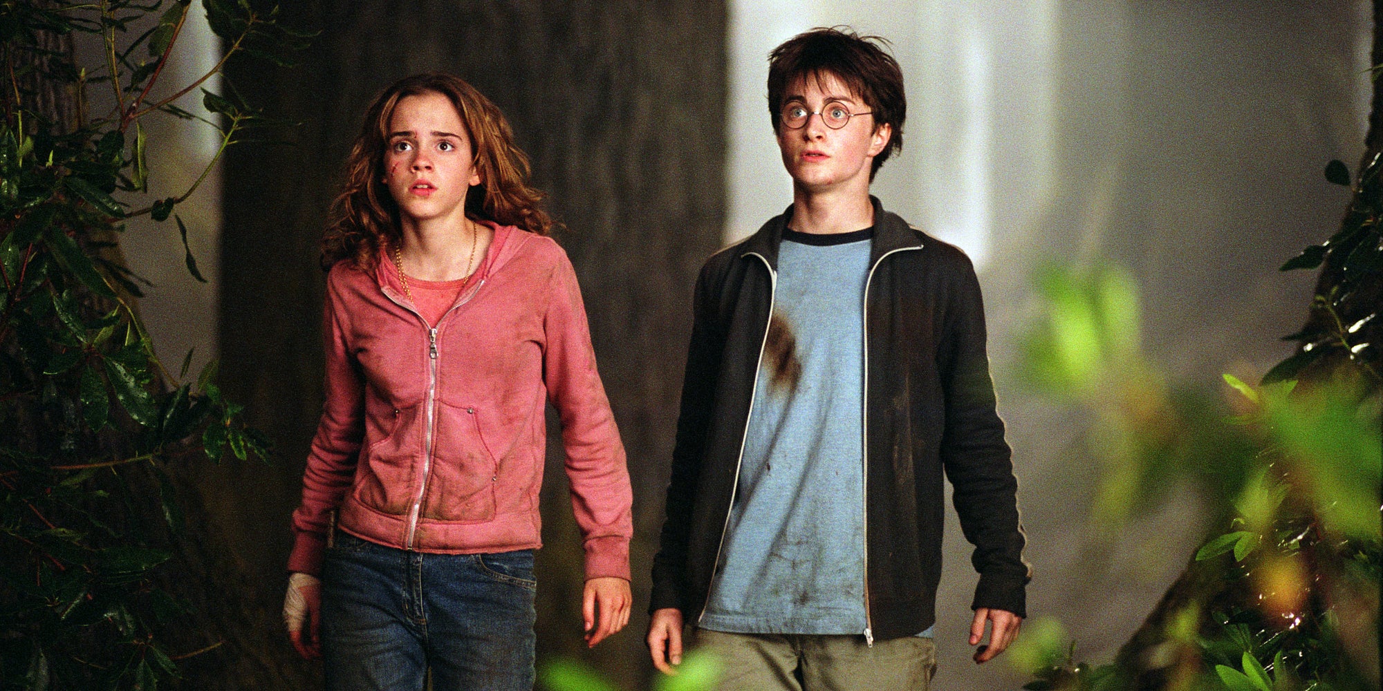 Découvrez dans quel ordre regarder les films "Harry Potter" et "Les Animaux fantastiques" pour tout comprendre de l'histoire du monde des sorciers. 