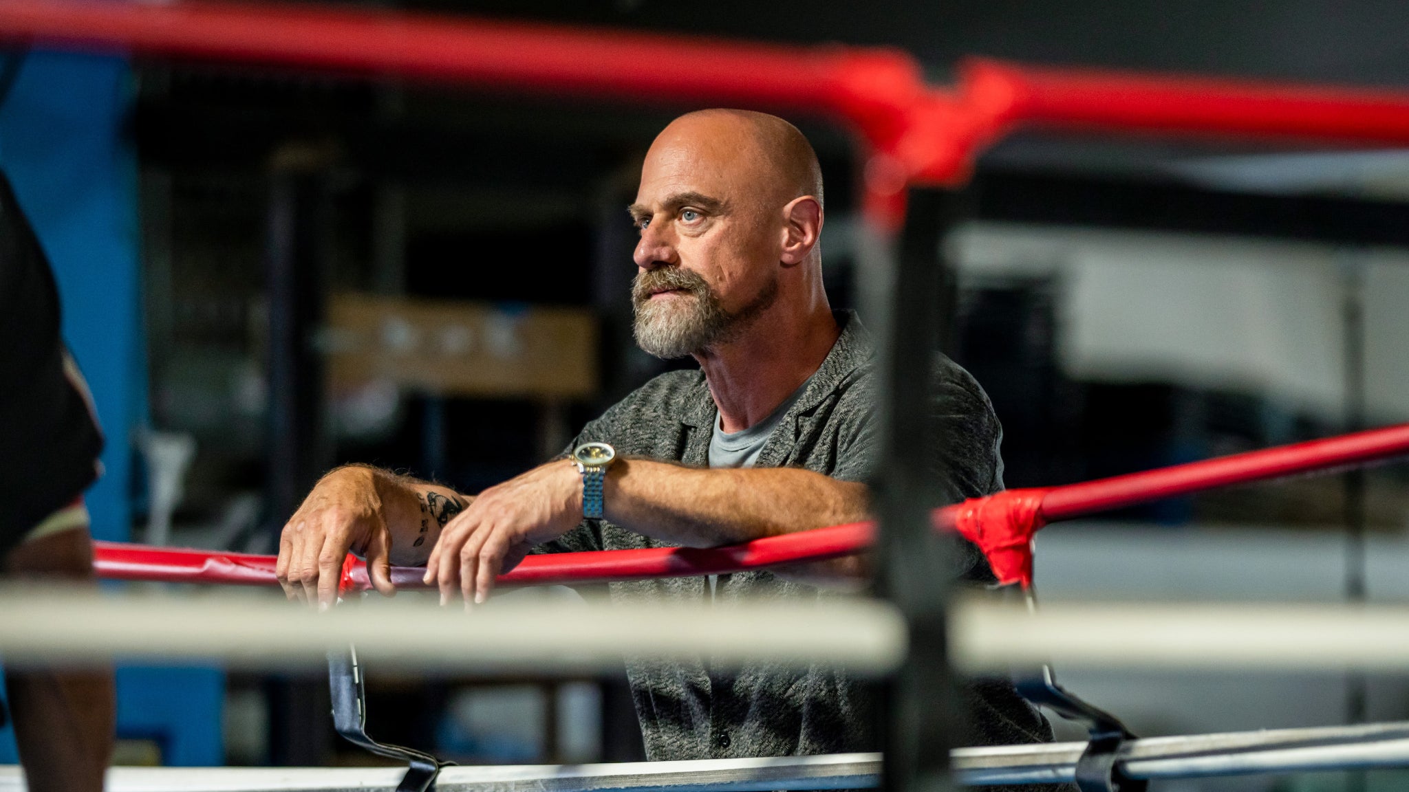 Dans les premiers épisodes de la saison 2 de "New York, crime organisé", Elliot Stabler se met dans la peau d'un dangereux criminel pour infiltrer un gang albanais.