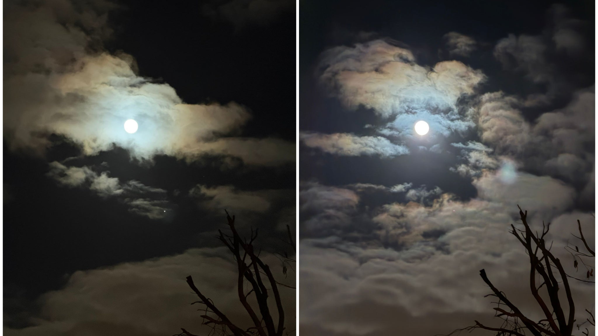 Le Mode Nuit offre un rendu plus lumineux, et donc plus net et détaillé, sur l’iPhone 17 Pro (à droite).