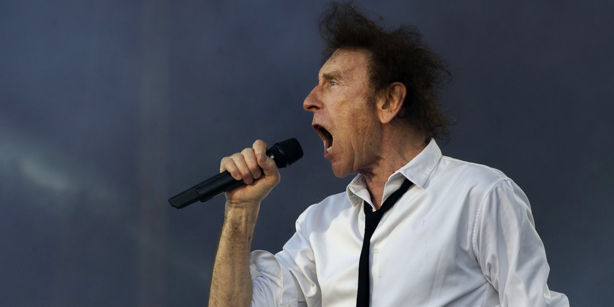 Alain Souchon durant son concert pendant le Festival des Vieilles Charrues, le  16 juillet 2016 à Carhaix