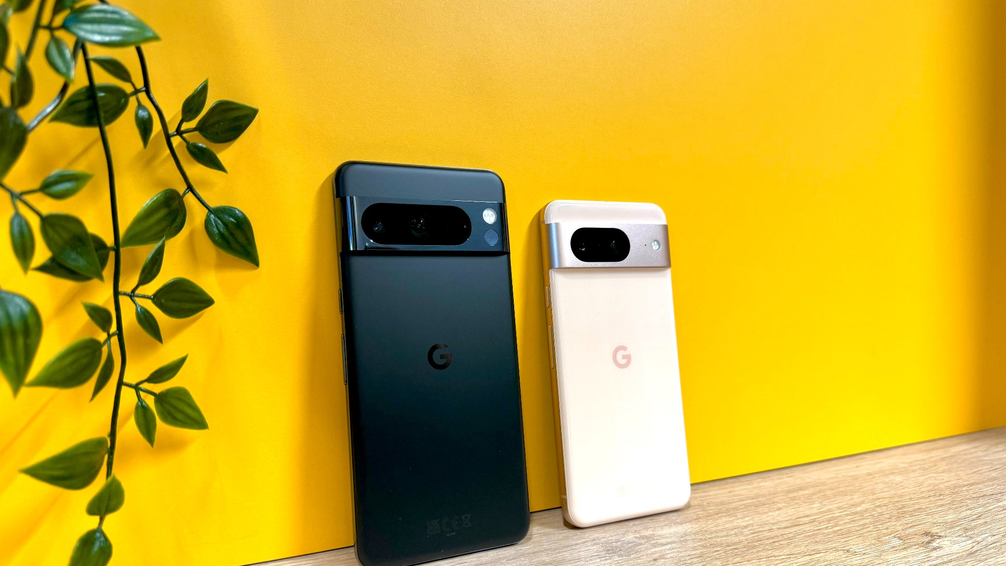 Les nouveaux Pixel 8 Pro et Pixel 8 côte à côte. Les nouveaux Pixel 8 Pro et Pixel 8 côte à côte.