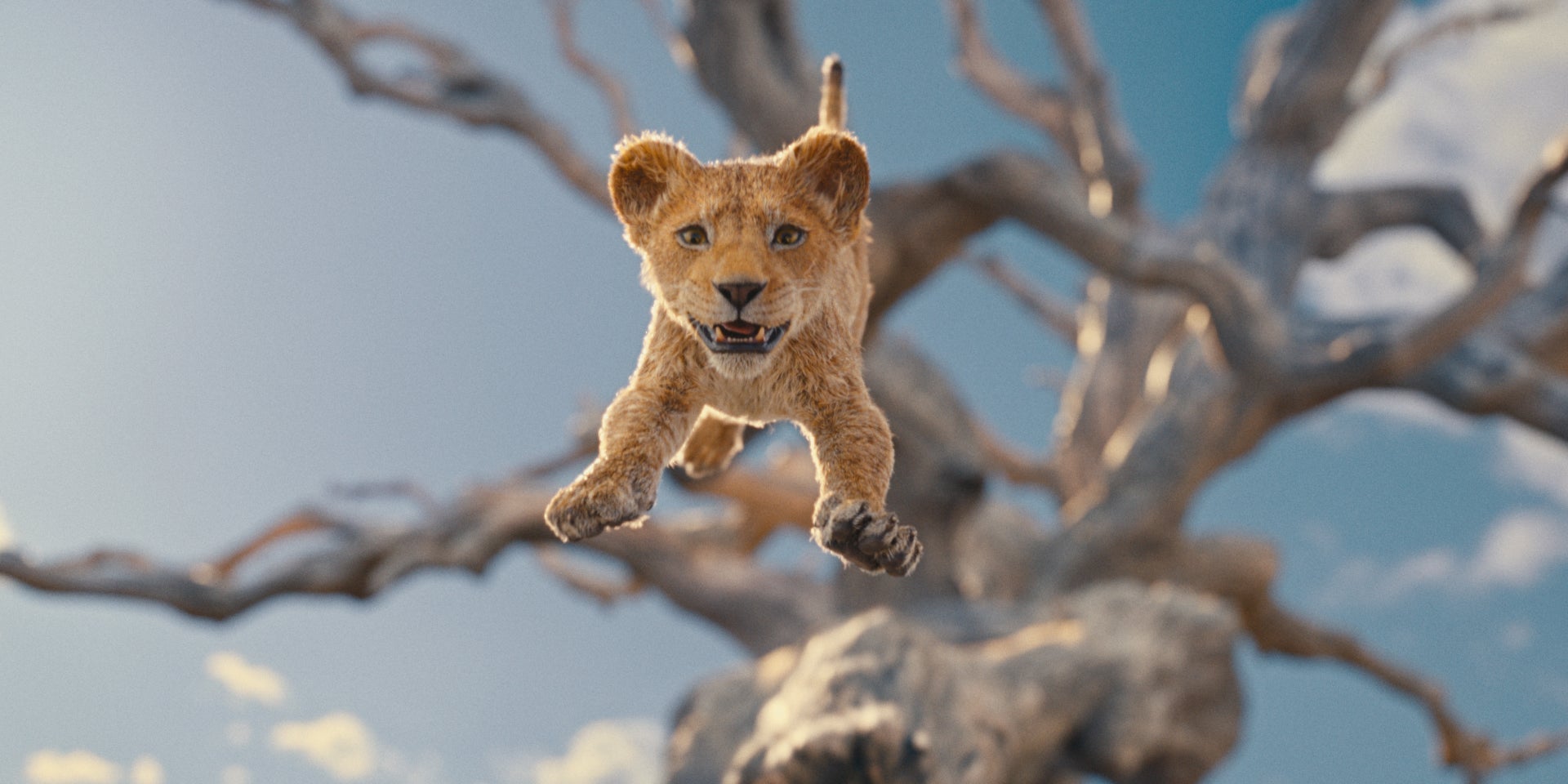 "Mufasa : Le Roi Lion" reviendra sur la jeunesse du célèbre père de Simba, pour nous faire découvrir comment il est devenu roi. 