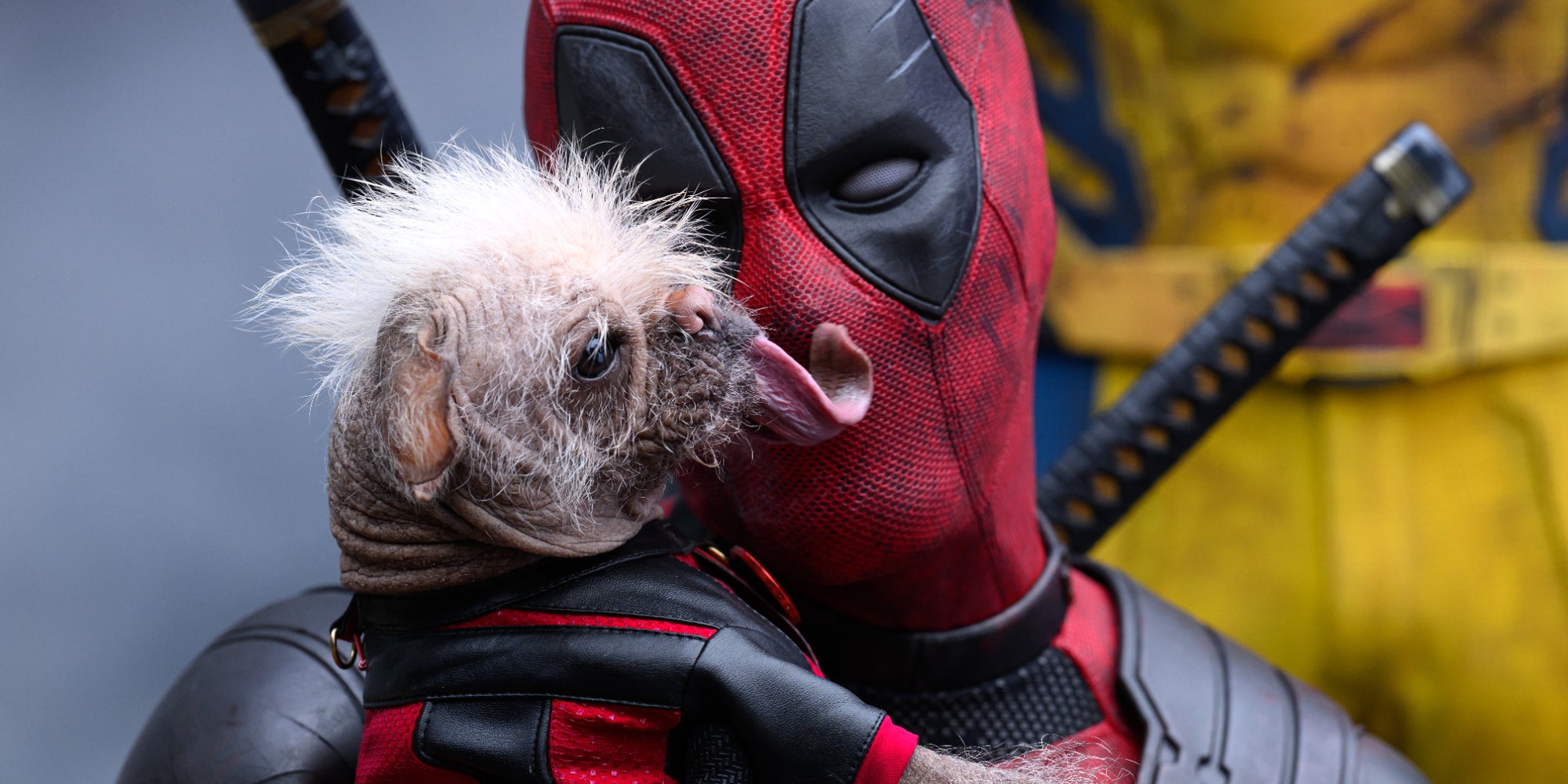 (Re)découvrez "Deadpool & Wolverine" sur Disney+