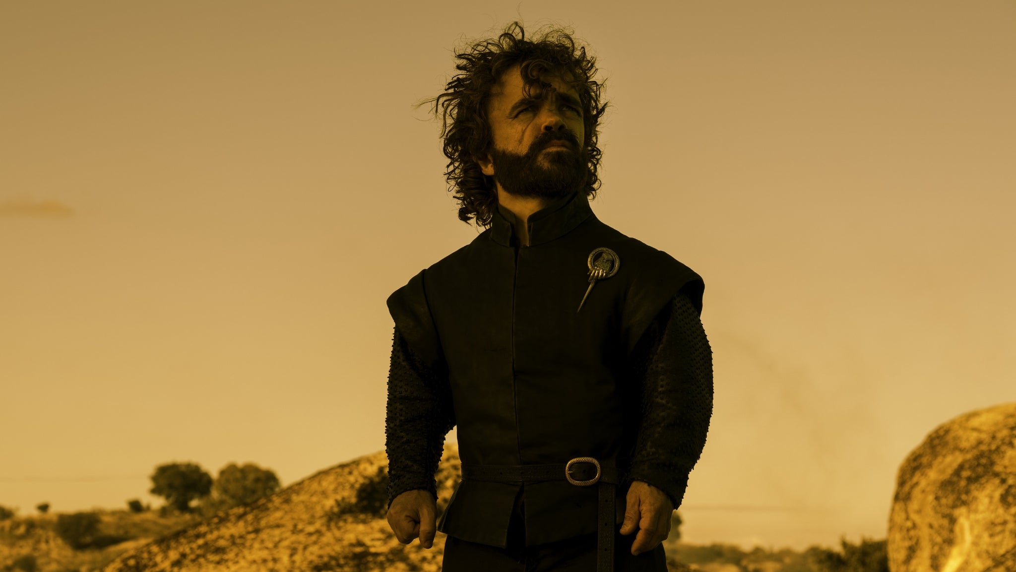 Tyrion Lannister, un outsider qui petit à petit, se fraie un chemin jusqu'au sommet.