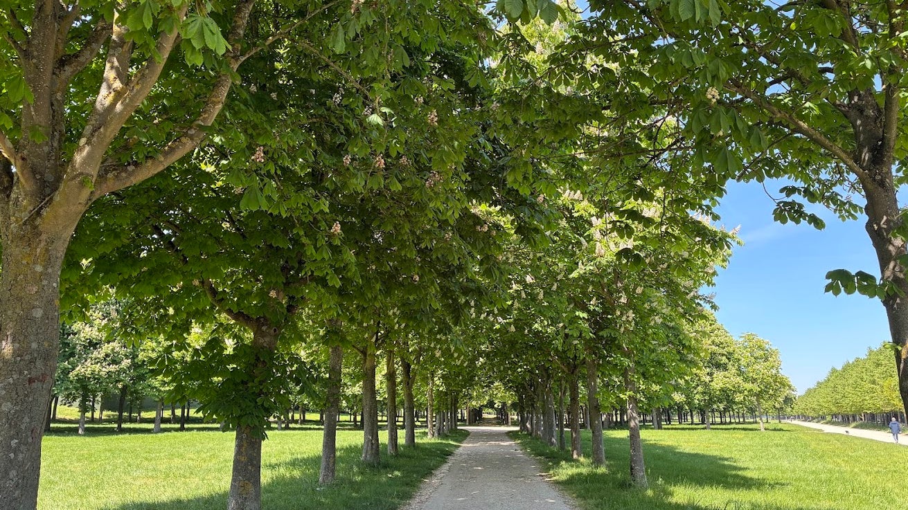 Nous entrons au Domaine de Saint-Cloud...