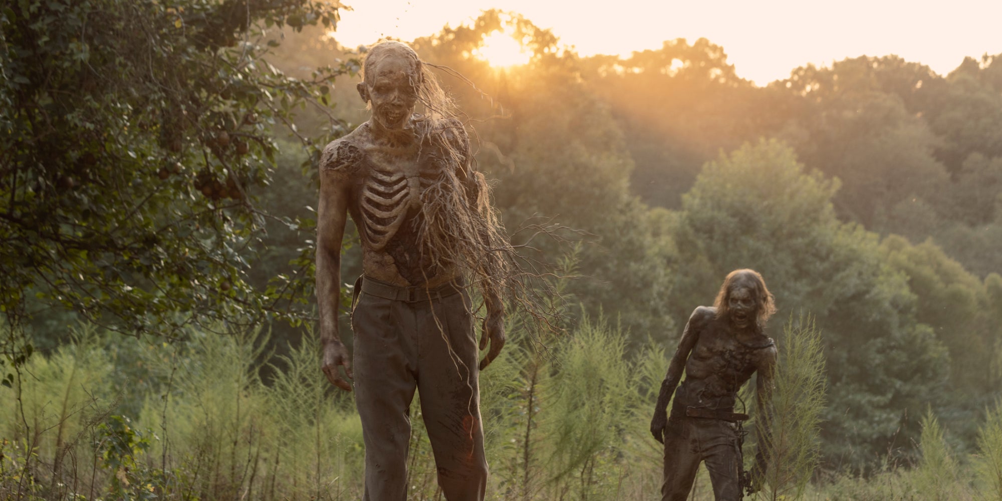 Les rôdeurs sont de retour dans "The Walking Dead" sur OCS.