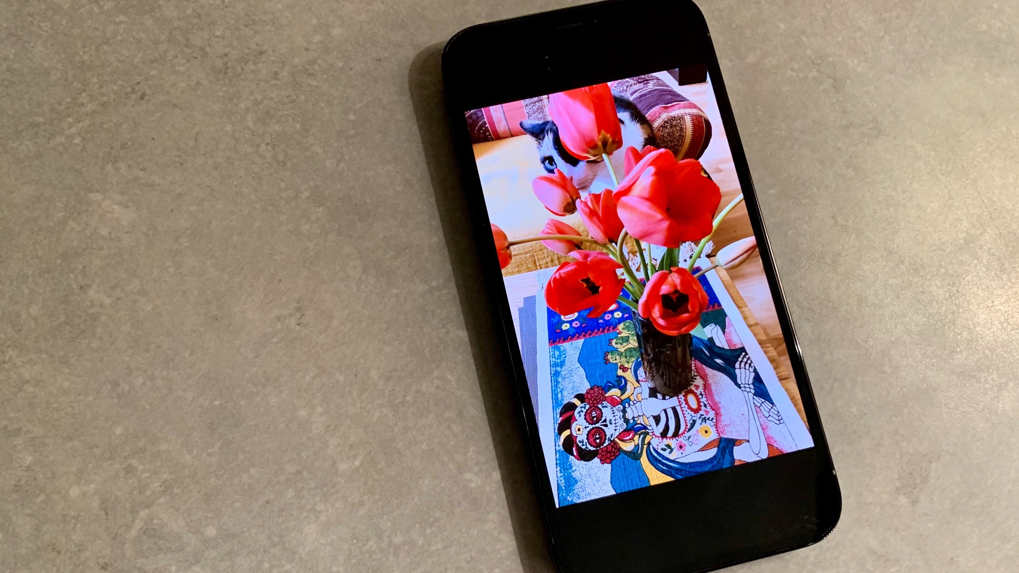 L'écran OLED Super Retina XDR de l'iPhone 12 Pro offre des couleurs éclatantes et contrastées.