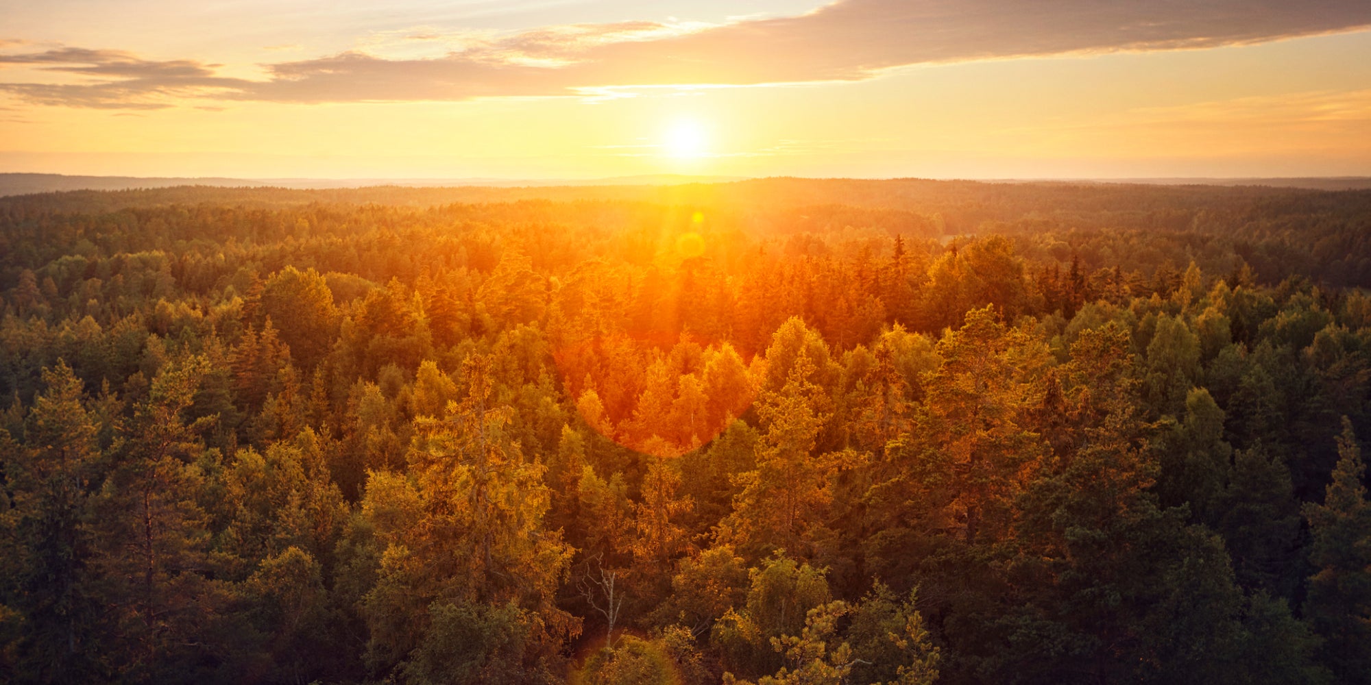 Le Cap, ou l’aube d’un nouvel horizon pour SFR.