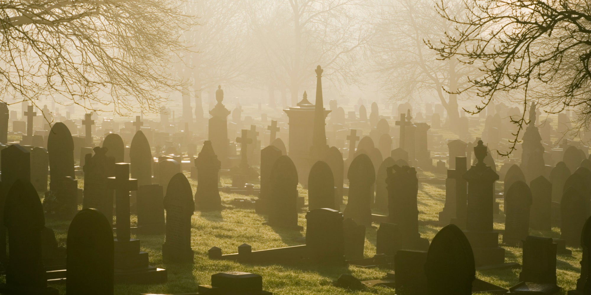 Une drôle d'affaire de vol de vases dans un cimetière du Texas a pu être résolue grâce à l'AirTag, le traceur d'Apple.
