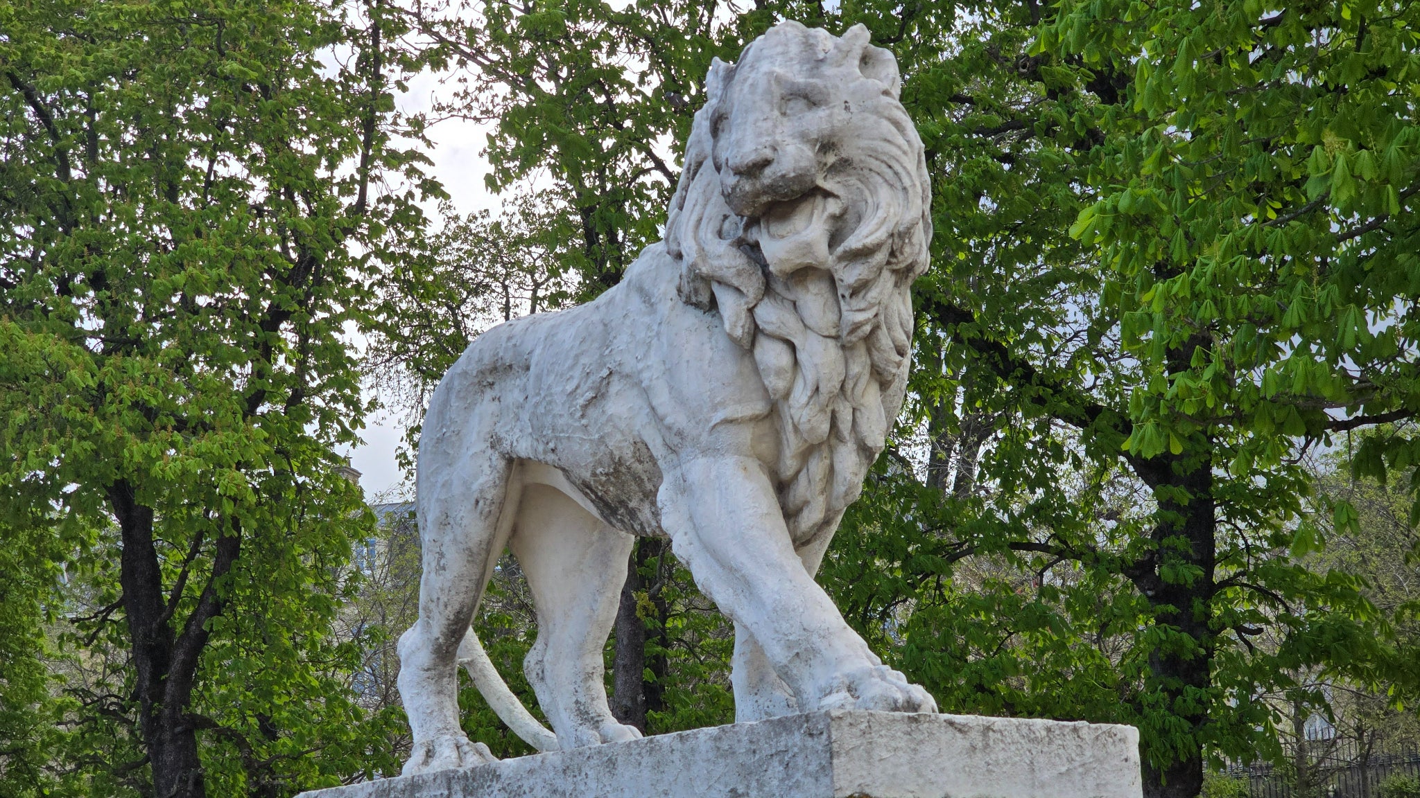 Nous passons ensuite au x3, où nous pouvons observer de près les détails de la statue...