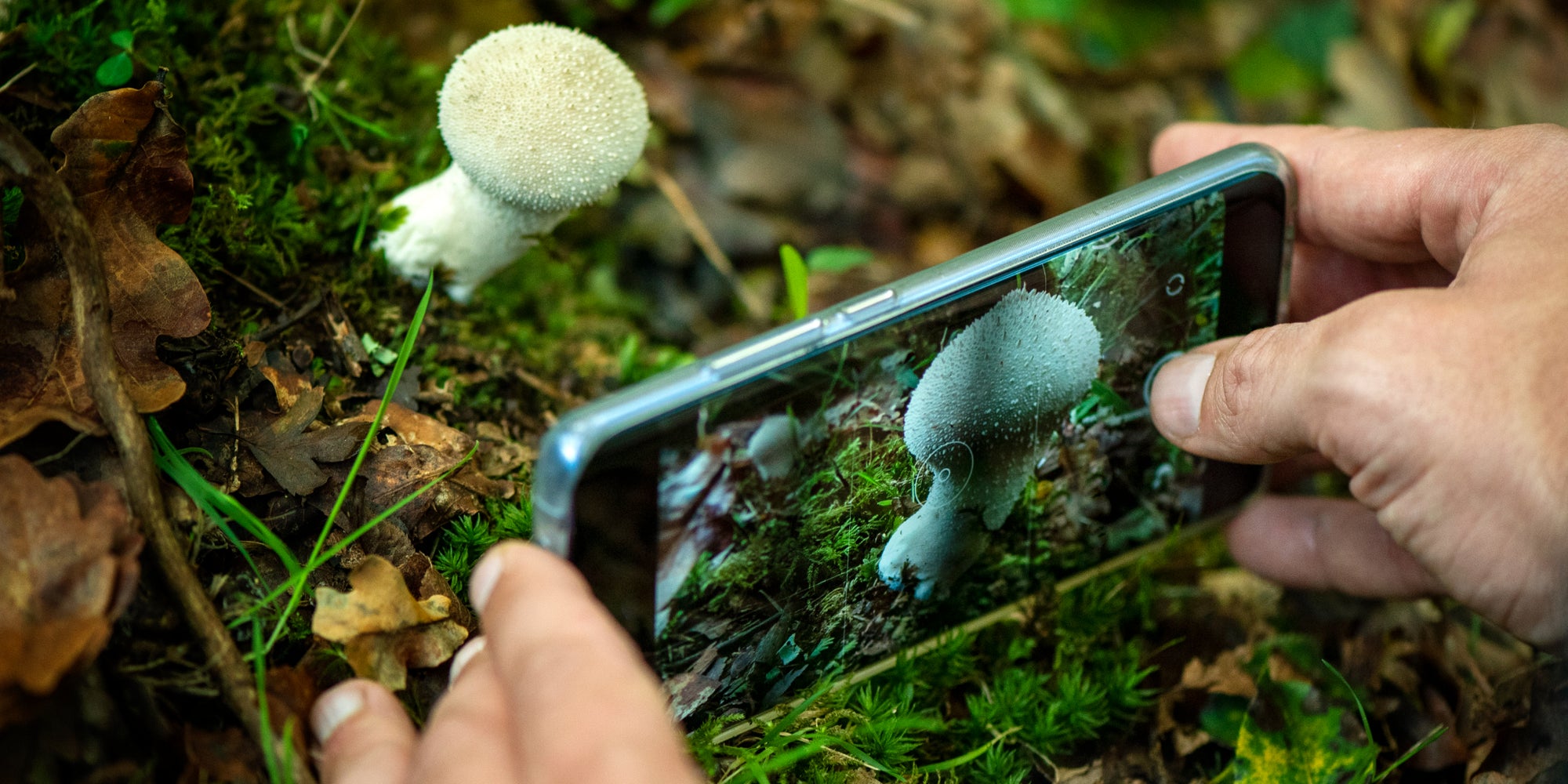 Le mode macro : pour prendre de belles photos de près sur Android.