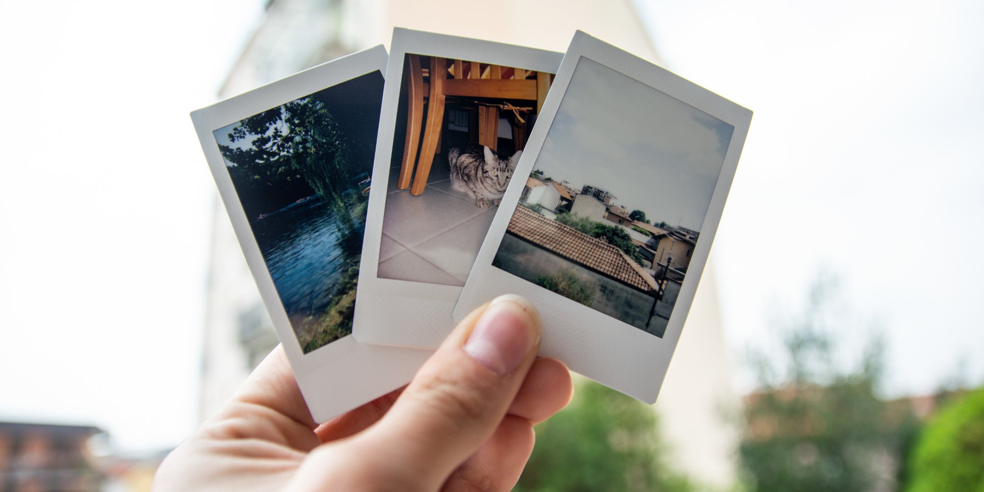 Les photos au Polaroid connaissent un succès... instantané. 