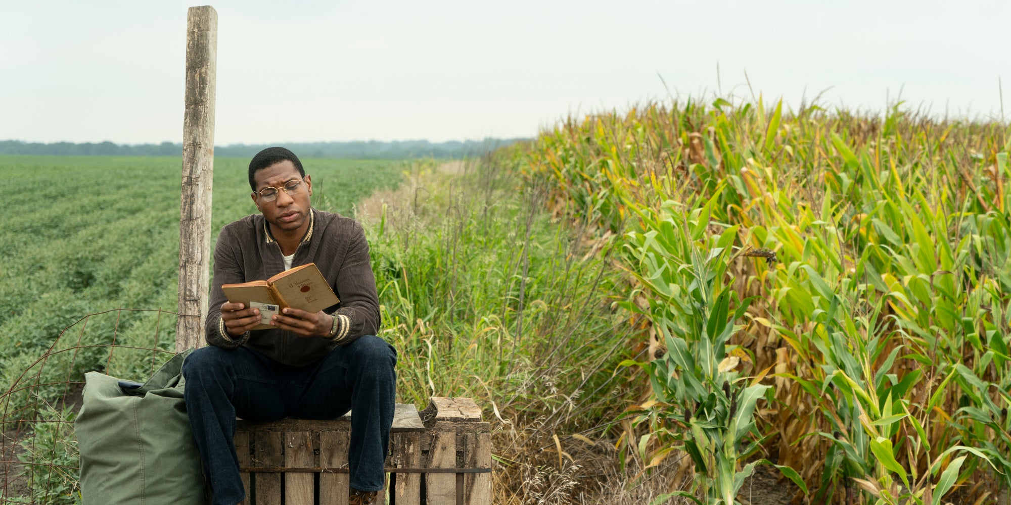 La série Lovecraft Country débute le 17 août sur OCS.