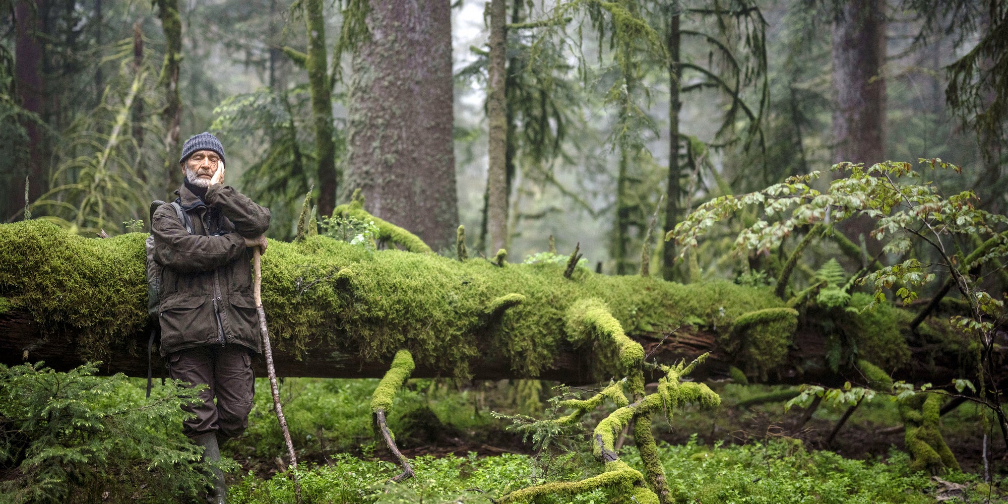 Dans "Le chant des forêts", direction les Vosges pour découvrir les secrets qui se renferment au fin fond de la verdure de la région.