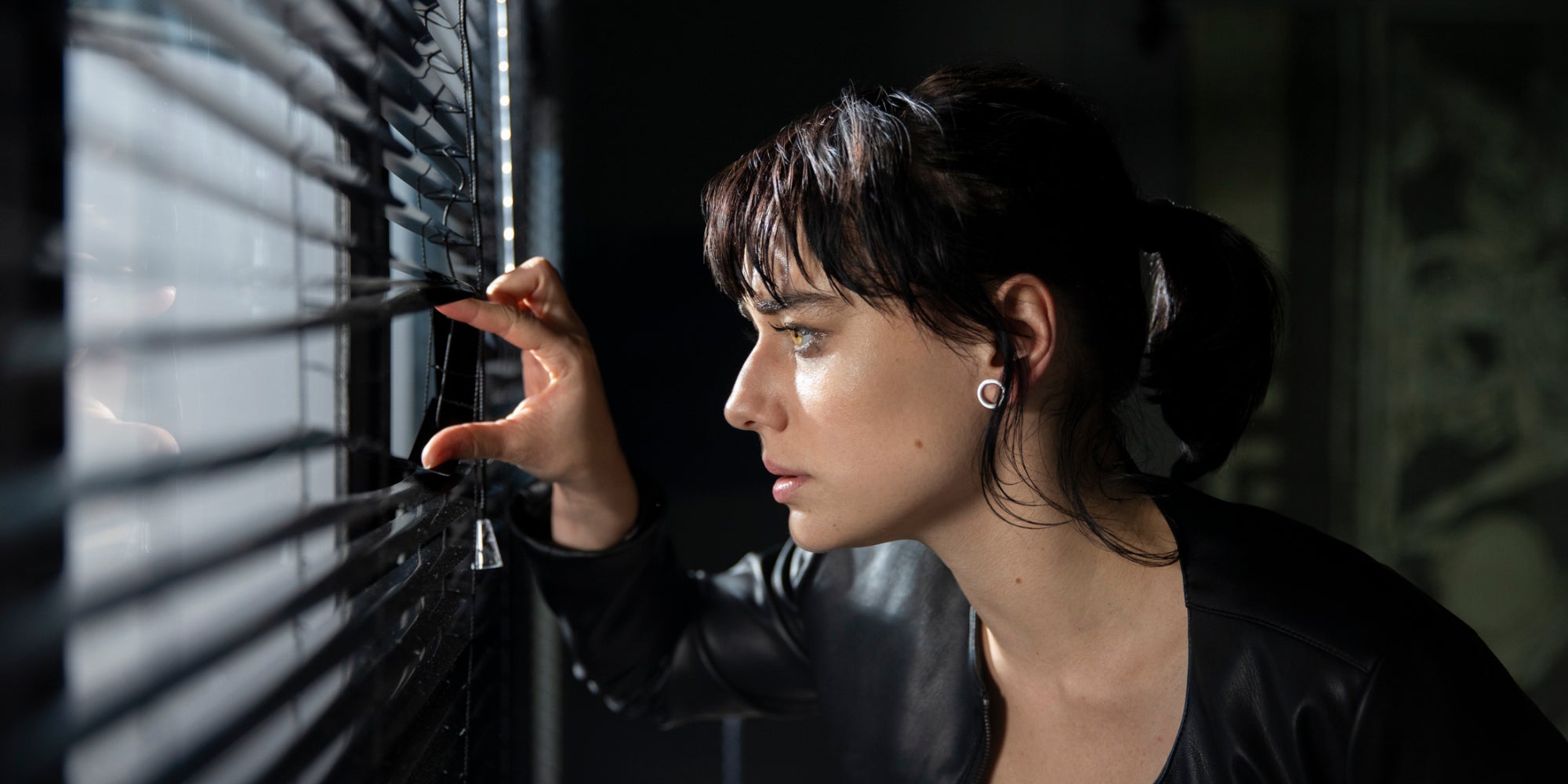 Dans Reality Z, les candidats d'une émission de télé-réalité restent enfermés pendant une épidémie zombies.