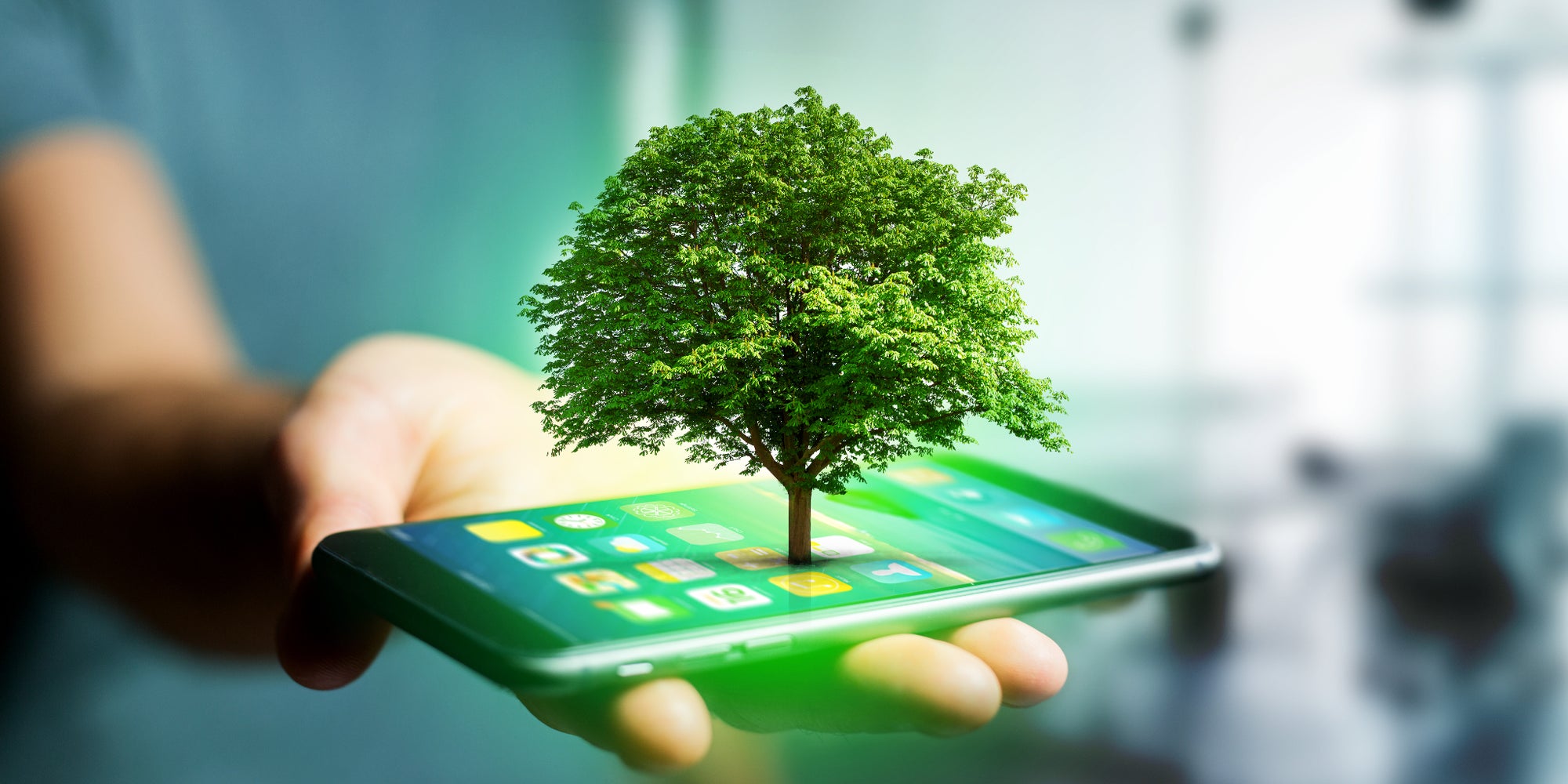 Du 18 septembre au 8 octobre, un arbre est planté pour l'achat d'un smartphone reconditionné chez SFR