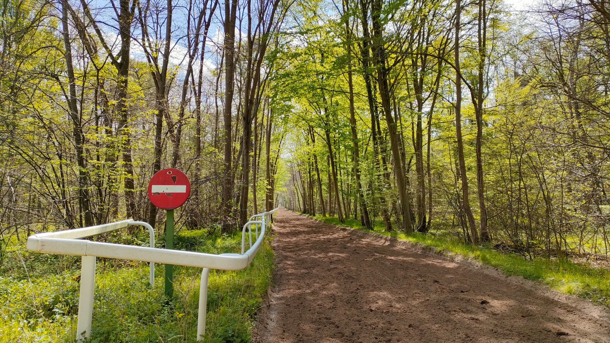 L'IA du OPPO Find X3 Lite booste les couleurs pour un rendu très lumineux