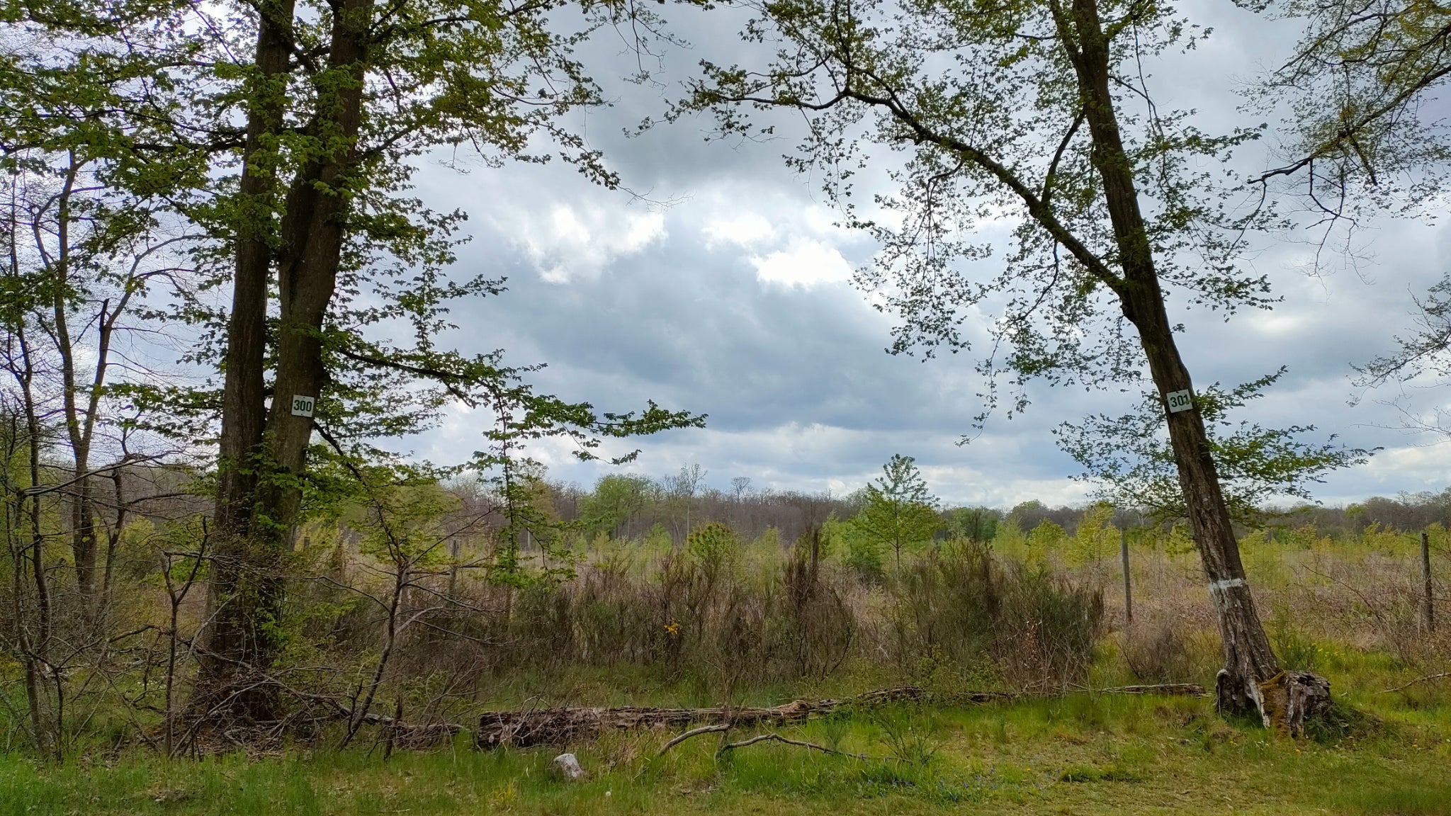 Par temps plus sombre, l'IA respecte néanmoins la luminosité naturelle