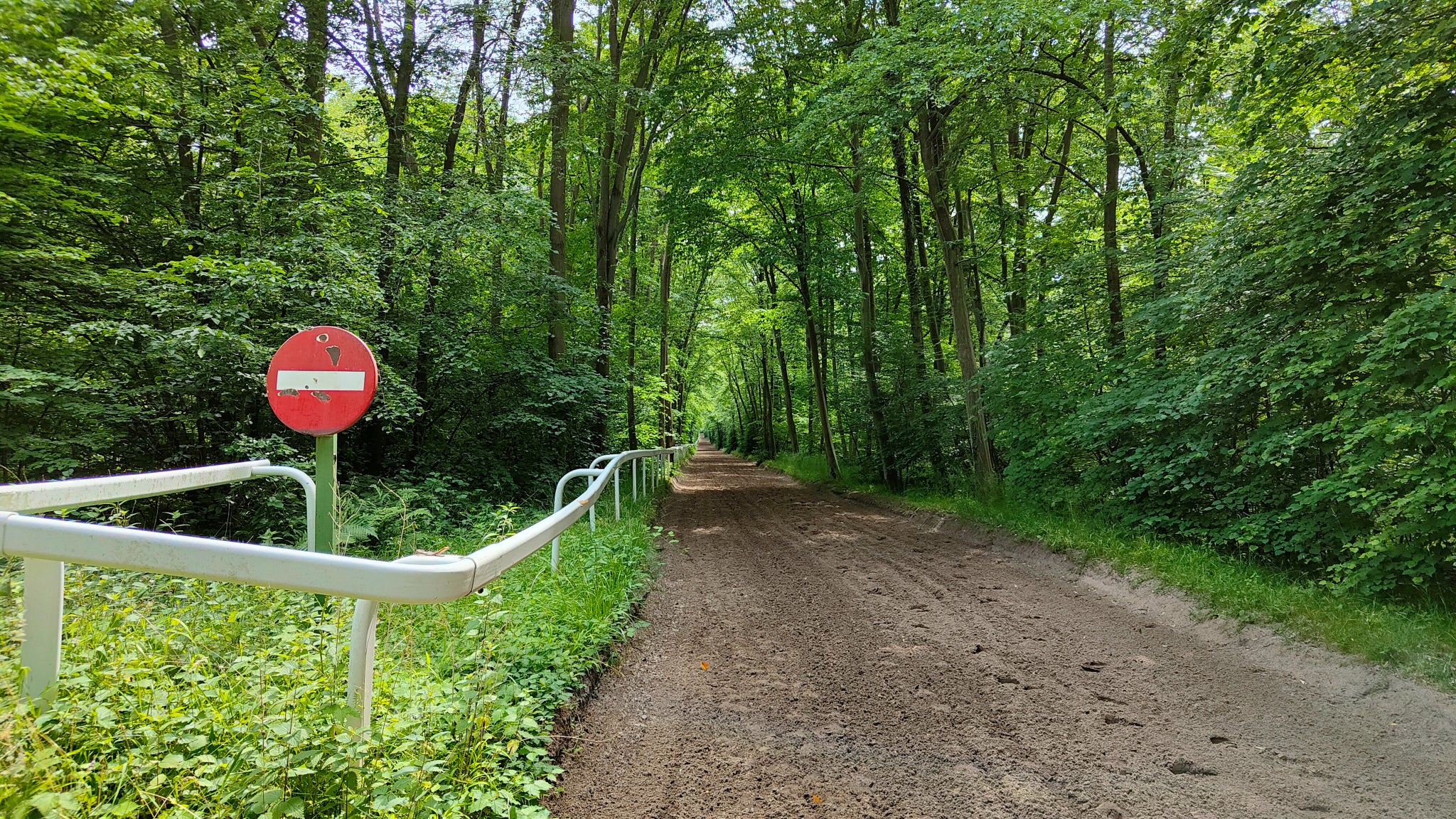 Le OPPO Find X3 Neo semble apprécier de pouvoir se mettre au vert