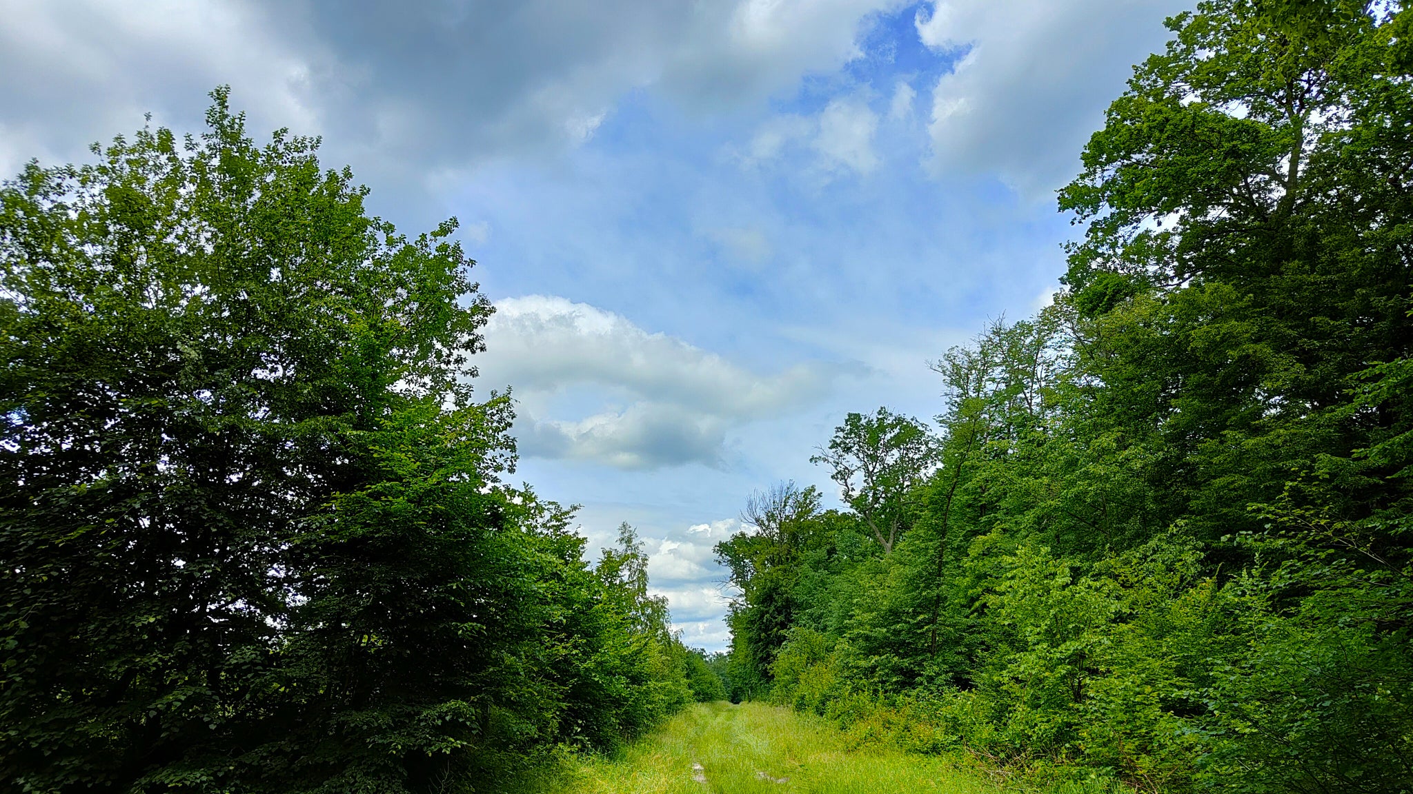 Encore un exemple de comment le OPPO Find X3 Neo s'adapte à la lumière