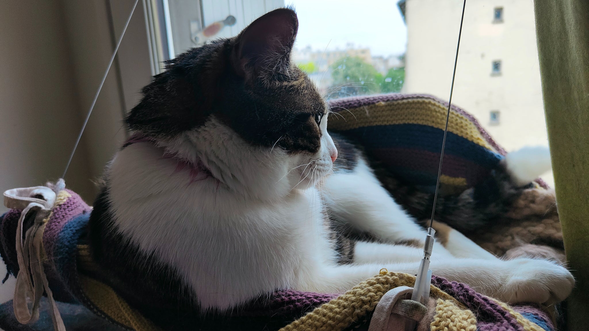 Mais poser autant l'a aussi épuisé