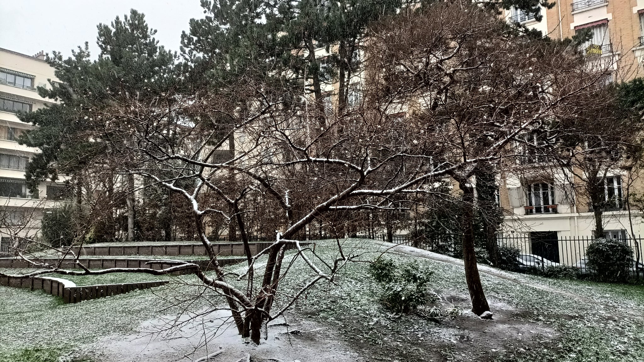 Photo prise avec l'OPPO Reno4 Z