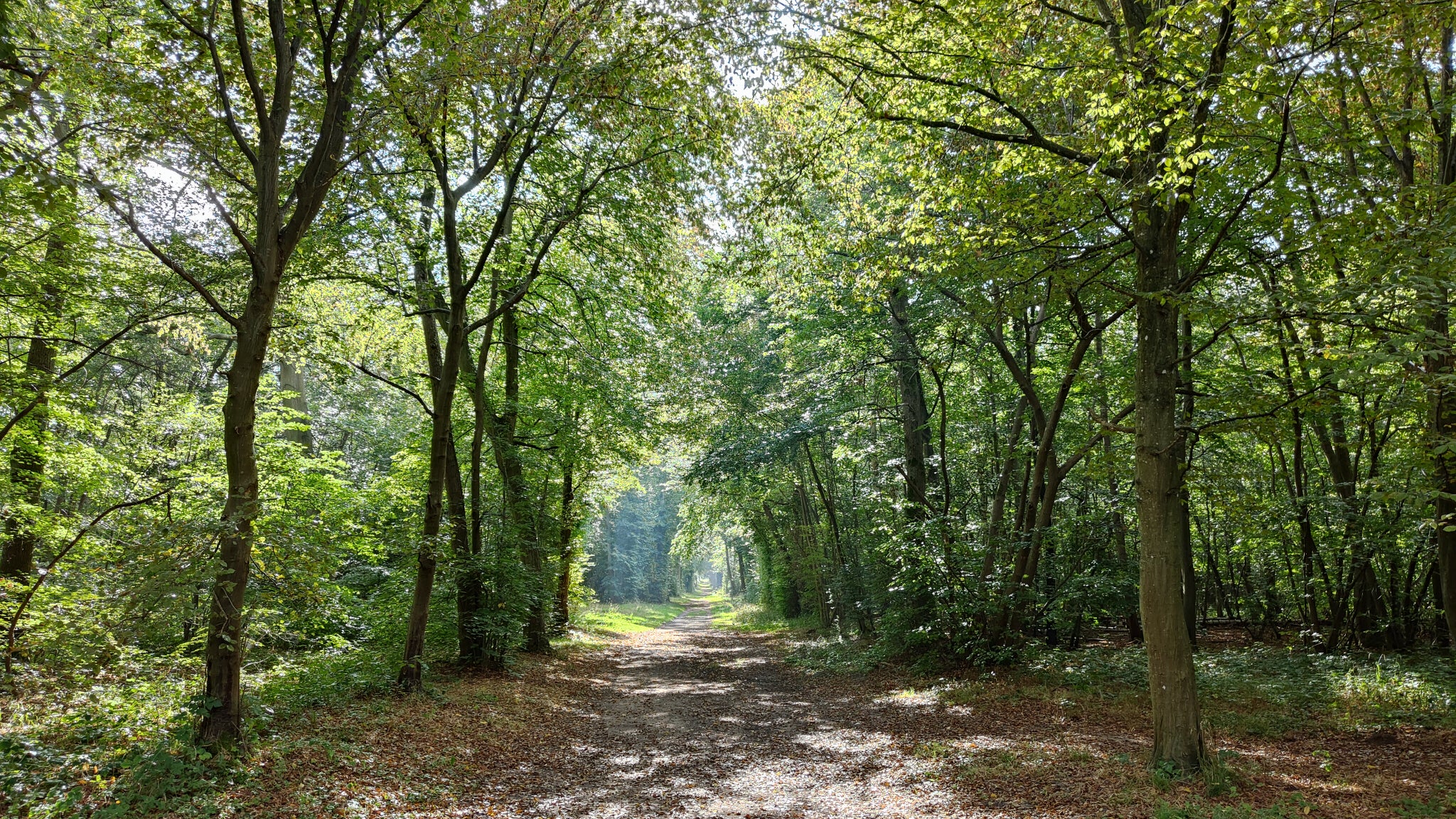 Photo prise avec le OPPO Reno6 Pro