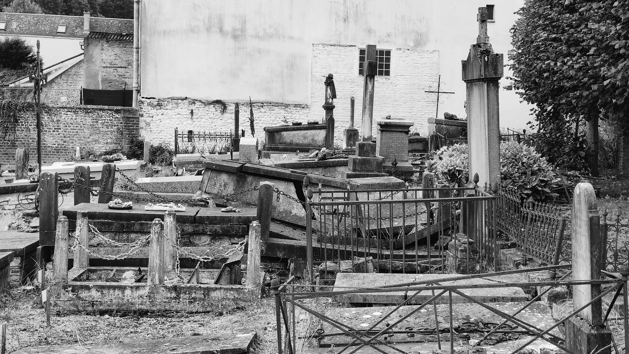 Photo prise avec le OPPO Reno6 Pro