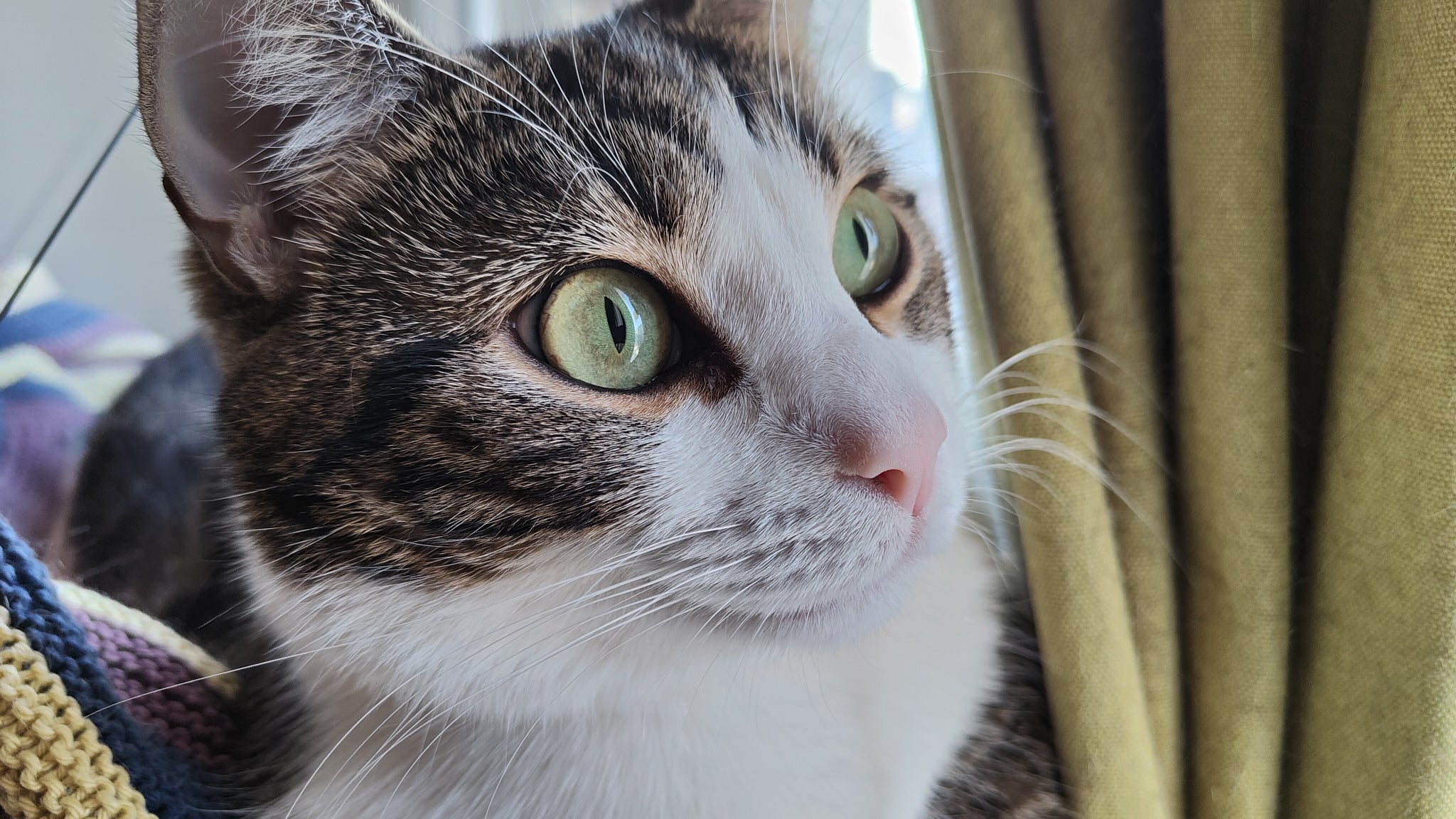 Le mode Portrait met parfaitement en valeur le sujet