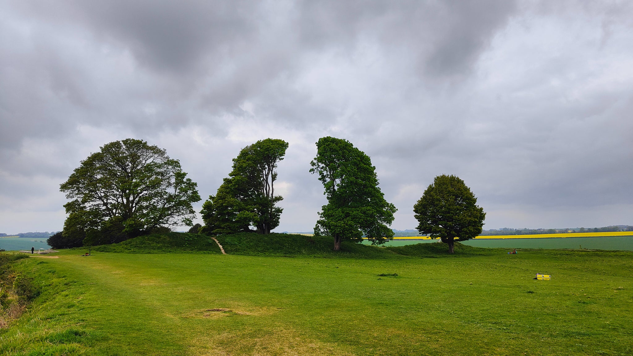 Aucun arbre n'a été retiré de cette photo avec les outils de montage de l'OPPO Find X5.