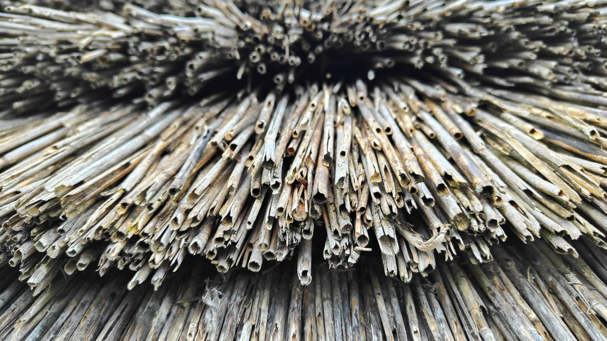 L'OPPO Find X5 permet de capturer les détails et les compositions.