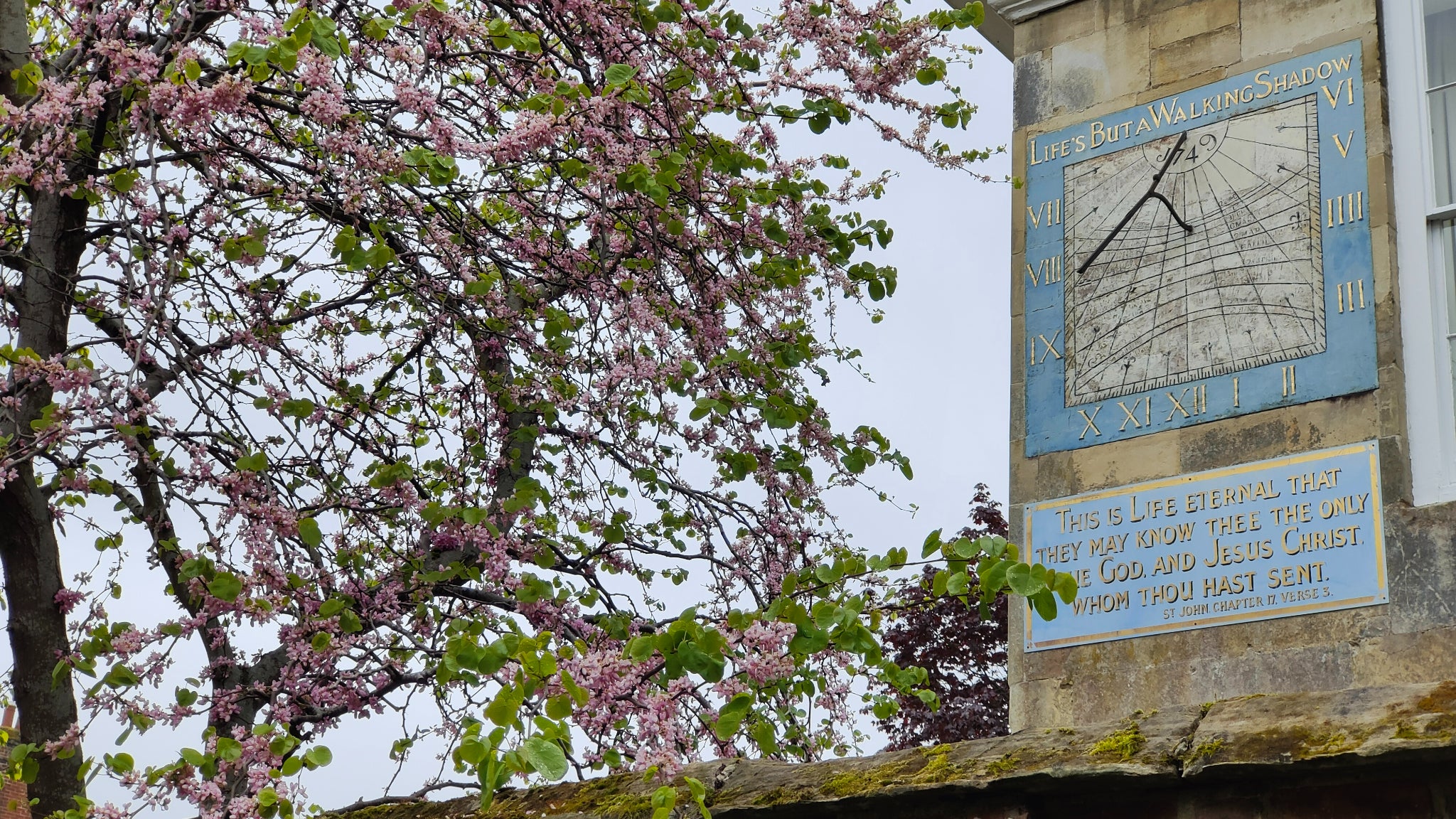 L'OPPO Find X5 peut capturer un milliard de couleurs.